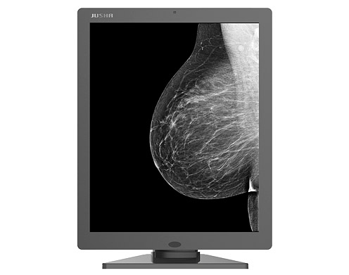 Monochrome Diagnostic Display JUSHA-M53 for mammography  
